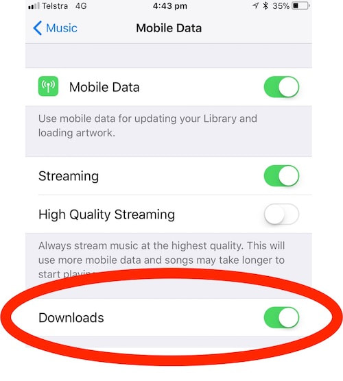 Setting to download music using mobile data